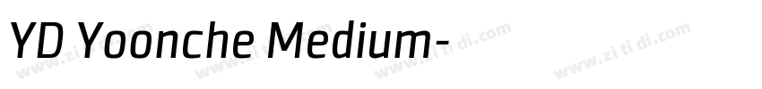 YD Yoonche Medium字体转换